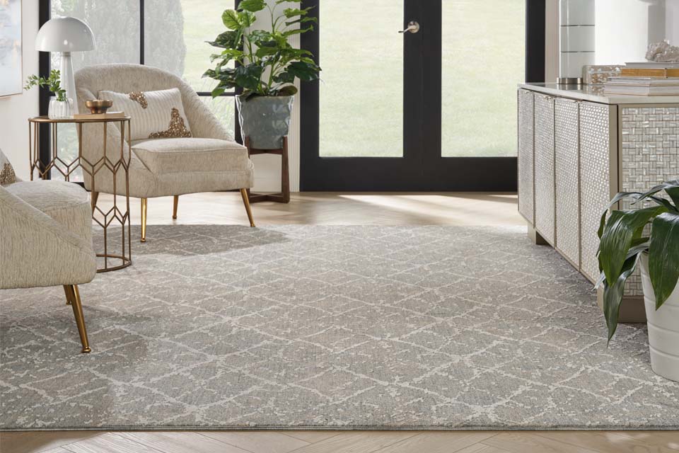 Patterned grey area rug in living room